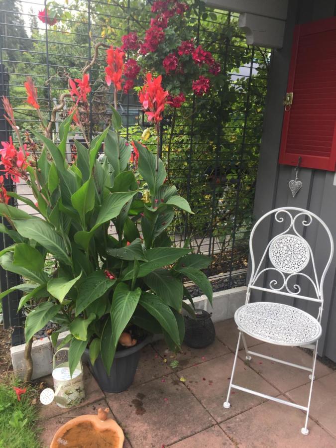 Ferienwohnung Pusteblume Alpirsbach Eksteriør billede