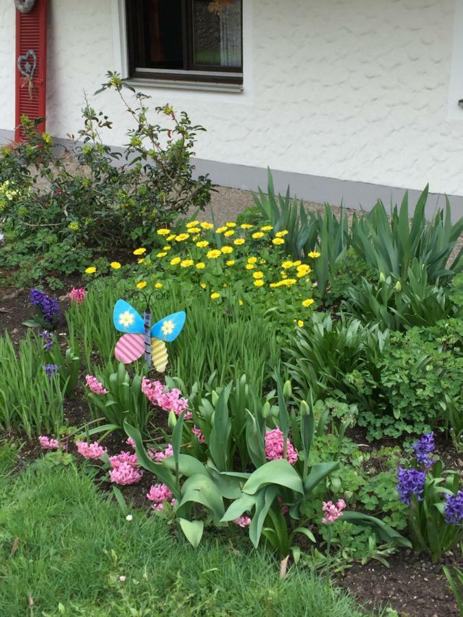 Ferienwohnung Pusteblume Alpirsbach Eksteriør billede